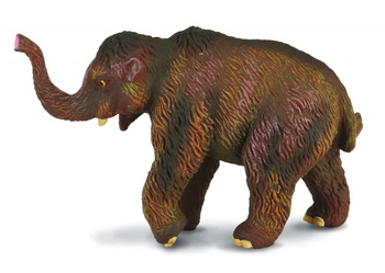 COLLECTA MAMUCIĄTKO