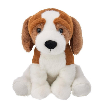 Pies Beagle 25cm Beppe