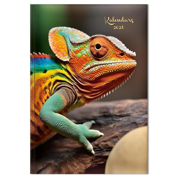 Kalendarz 2026 tygodniowy A5 Kameleon SK1