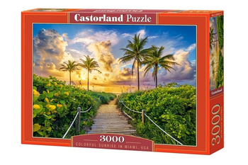 Puzzle 3000 Colorful Sunrise in Miami, USA Castorland