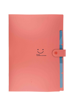 Teczka A4 plastikowa z 5 przegródkami czerwona