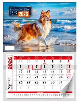 Kalendarz 2026 ścienny lux 1szt.mix