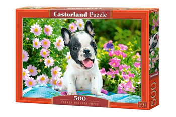 Puzzle 500 French Bulldog Puppy CASTOR Castorland