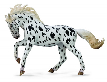 COLLECTA KLACZ RASY KNABSTRUP KARA