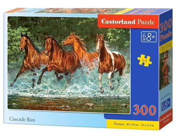 Puzzle 300 Cascade Run CASTOR Castorland