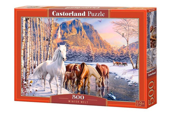 Puzzle 500 Winter Melt CASTOR Castorland