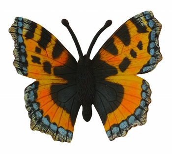 COLLECTA MOTYL RUSAŁKA POKRZYWNIK