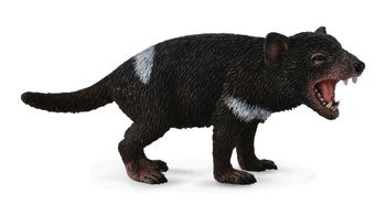 COLLECTA DIABEŁ TASMAŃSKI