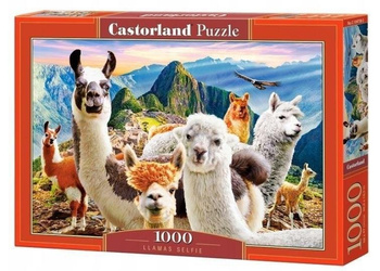 Puzzle 1000 Lamy CASTOR Castorland