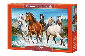 Puzzle 2000 Call of Nature CASTOR Castorland
