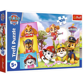 Puzzle 100 Nieustraszone dziewczyny Viacom Paw Patrol 16520