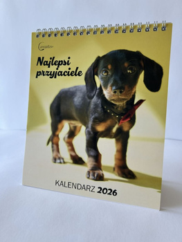 Kalendarz 2026 biurkowy Najlepsi przyjaciele Psy