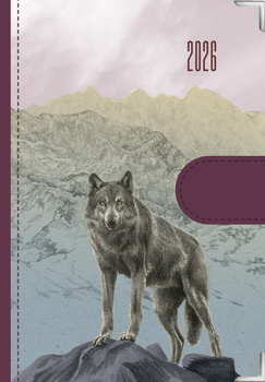 Kalendarz 2026 dzienny Natura Wilki