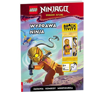 Lego Ninjago Wyprawa Ninja LNC-6738