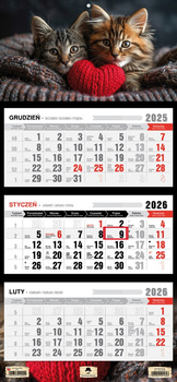 Kalendarz 2026 trójdzielny Kotki KT1-V.63