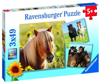 Puzzle 3x49 Konie Ravensburger