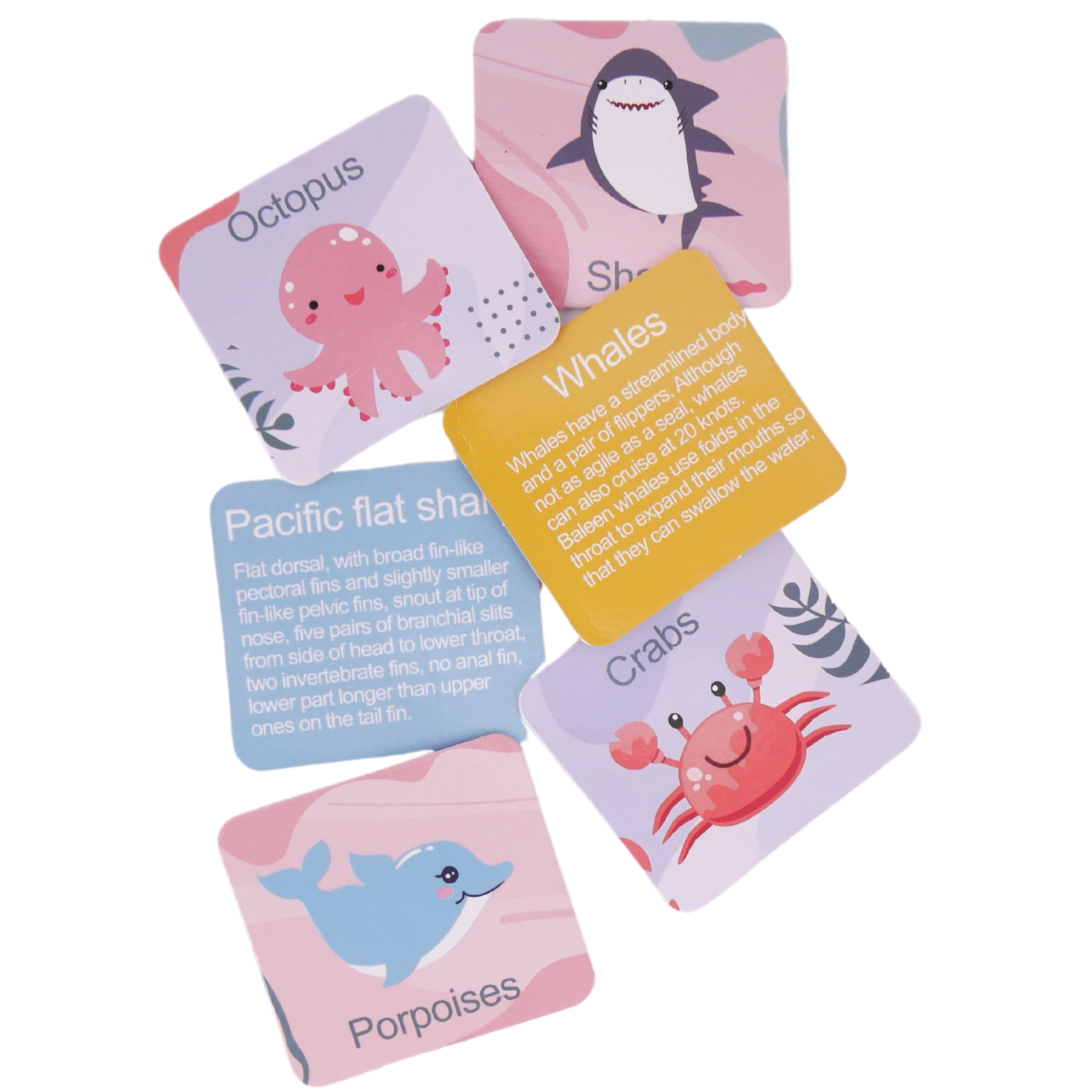 Montessori Sortowanie Nauka Liczenia Logiki Myślenia Karty Gra Układanka