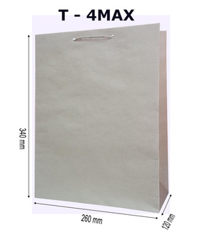 Torebki prezentowe Eko T4 Max 10 sztuk