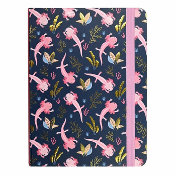 Notatnik Midi Aksolotle Peter Pauper Press