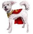 Superman Film: Interaktywny Krypto Spin Master