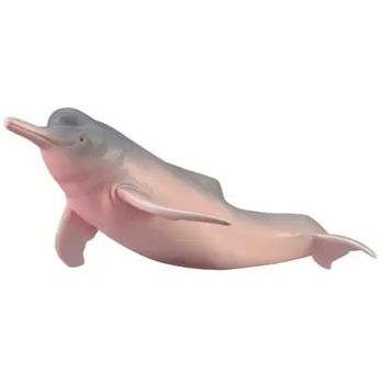 COLLECTA INIA AMAZOŃSKA