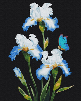 Malowanie po numerach BRUSHME 40x50 cm Irysy