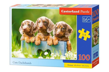 Puzzle 100 Słodkie jamniki CASTOR Castorland