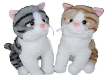 Kot 35cm MIX Sun-Day