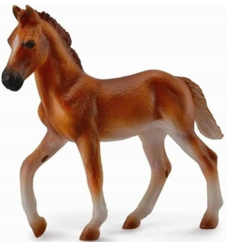 COLLECTA ŹREBIĘ PERUWIAŃSKI PASO MAŚCI KASZTANOWATEJ