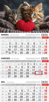 Kalendarz 2026 trójdzielny ekonomiczny z magnesem Kotki KTM VM19