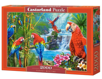 Puzzle 2000 Parrot Meeting CASTOR Castorland