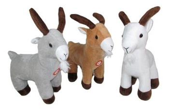 Kozica 25cm MIX Sun-Day