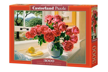 Puzzle 3000 Summer Reminiscence Castorland