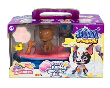 Brudaski w kąpieli piesek Boston biało-żółty 5el EPEE