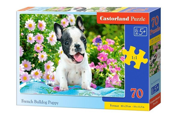 Puzzle 70 Szczeniak buldoga francuskiego CASTOR Castorland