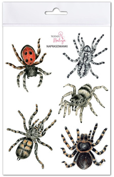 Naprasowanki Pająki