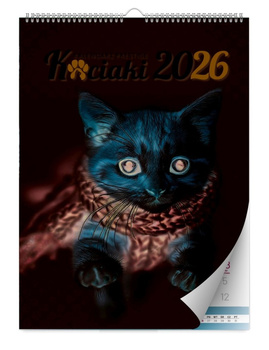 Kalendarz 2026 Prestige ścienny 1szt.mix