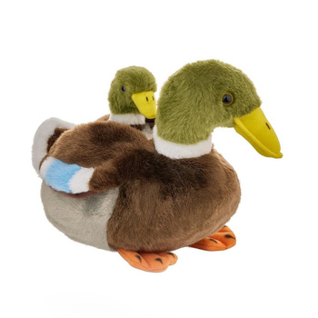 Kaczka krzyżówka z dzieckiem 20cm Beppe