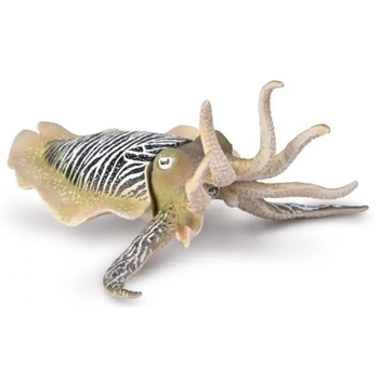 COLLECTA MĄTWA POSPOLITA