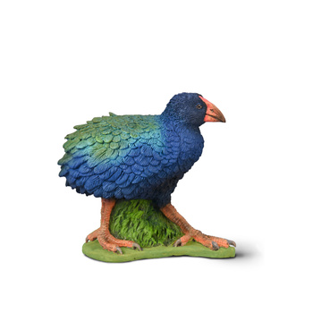 COLLECTA TAKAHE POŁUDNIOWY