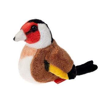 Szczygieł 13cm Beppe