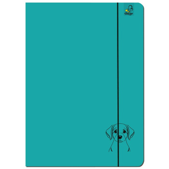 Paczka Teczka A4 z gumką Labrador turkus 5 sztuk