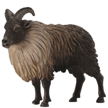 COLLECTA TAR HIMALAJSKI