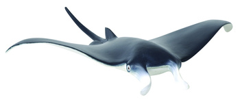 COLLECTA MANTA DIABEŁ MORSKI