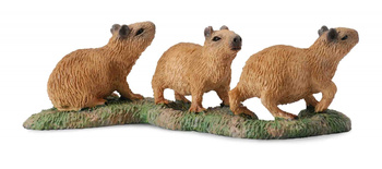 COLLECTA KAPIBARA MŁODE