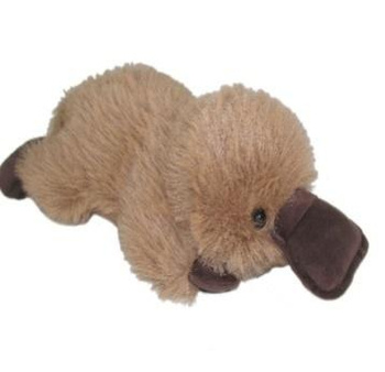 Dziobak 32cm Sun-Day