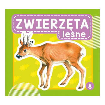 ZWIERZĘTA LEŚNE