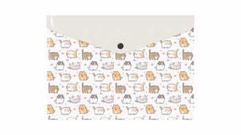 Teczka koperta A4 pp z nadrukiem kittens