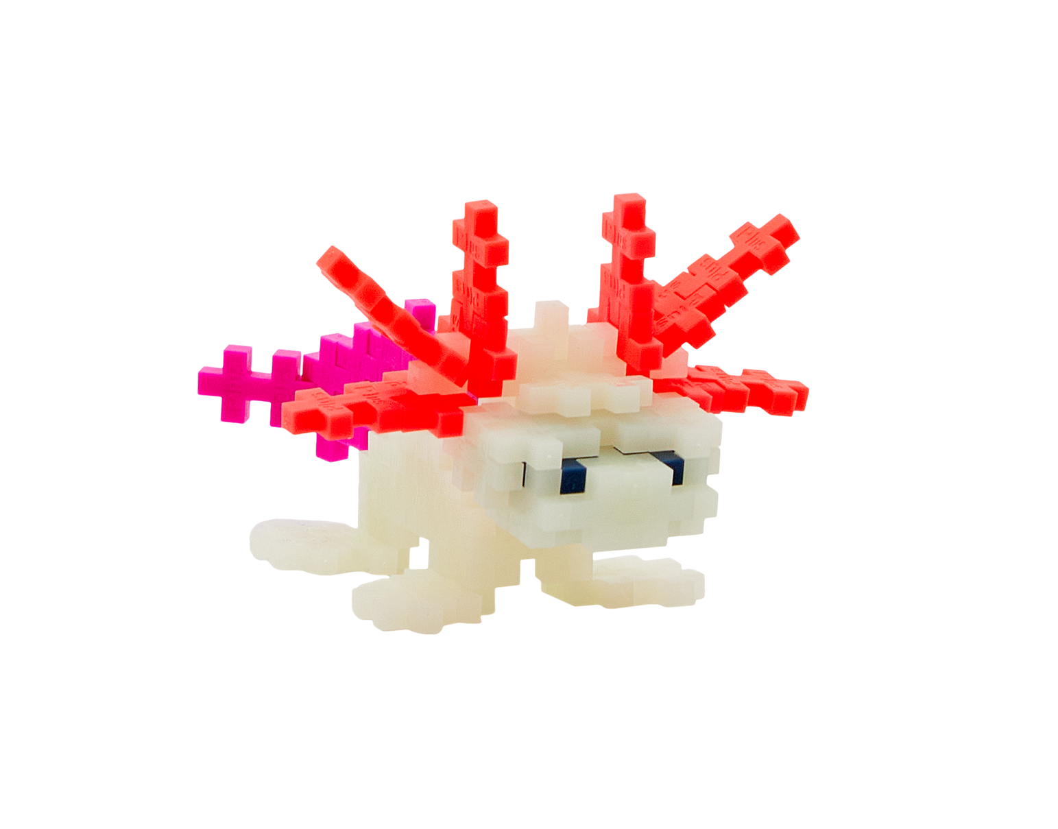 Klocki PLUS-PLUS Axolotl wysypane z tuby i zbudowana figurka aksolotla