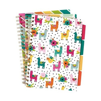 Paczka Kołozeszyt Pukka Pad B5 Project Book Colour Wash 3 szt mix